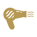 Icon Fön
